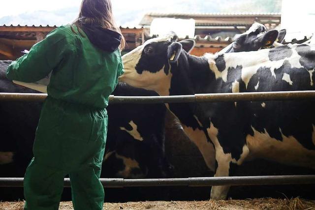 Landratsamt: Tod von Vieh in Wittnau keine Folge der Zwangsimpfung