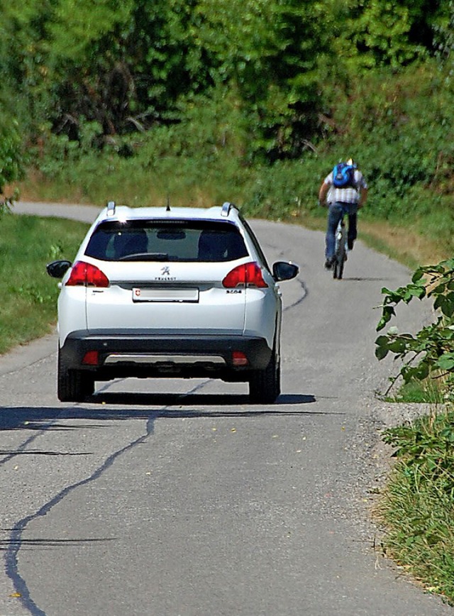 Auf dem Winzerweg wnschen sich die Rte mehr Kontrollen.   | Foto: Herbert Frey