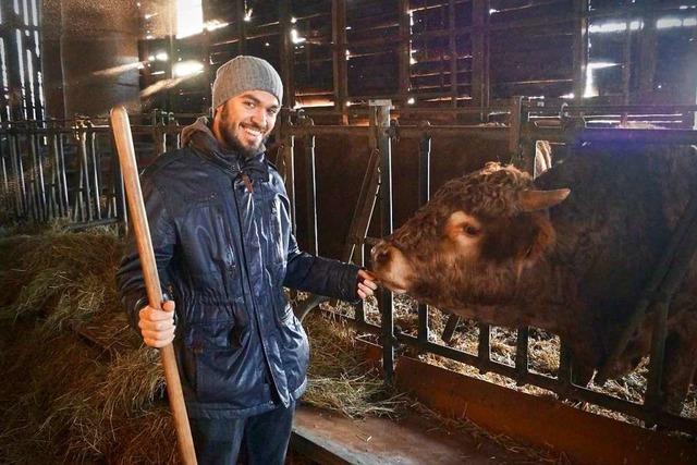 Umweltfreundliche Landwirtschaft – ein Ichenheimer Bauer ist dabei