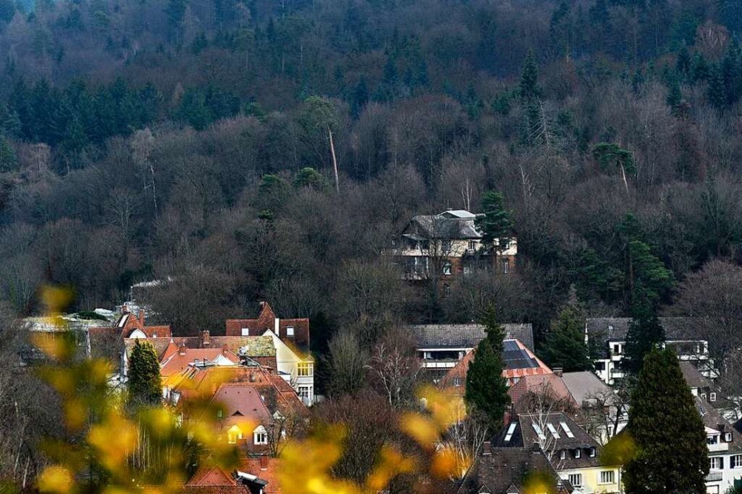 Inzwischen ist die Wiehre-Bebauung unt...as Foto entstand vom Lorettoberg aus.   | Foto: Thomas Kunz