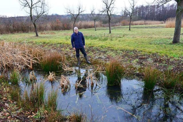 Das Waltershofener Naturschutzgebiet 