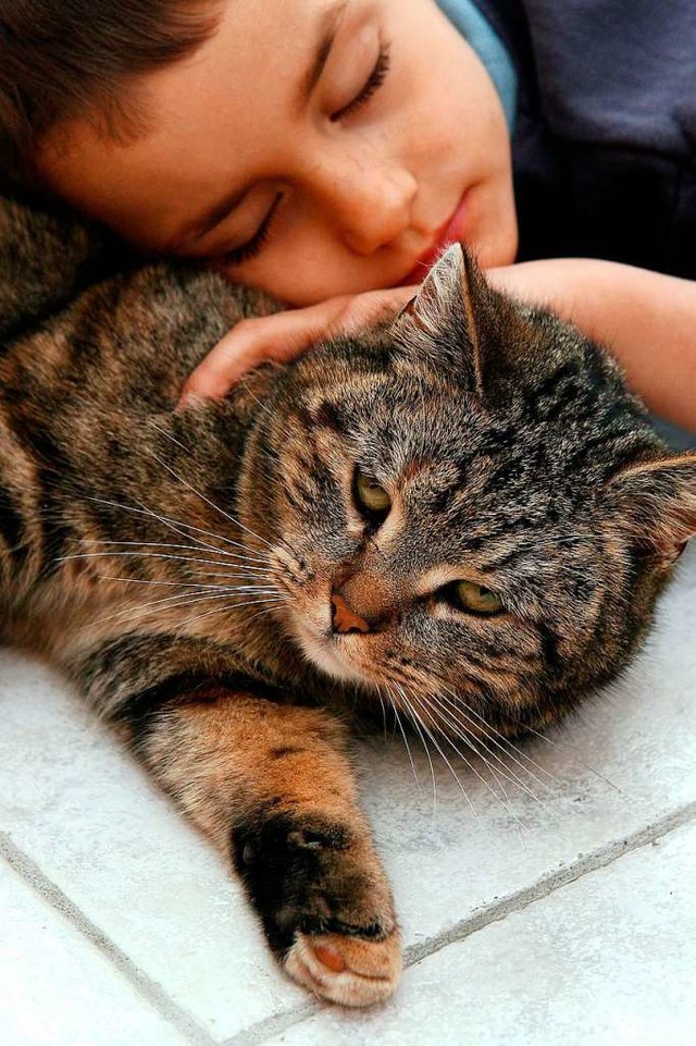 Schn: Kuscheln mit der Katze  | Foto: Z1022 Patrick Pleul