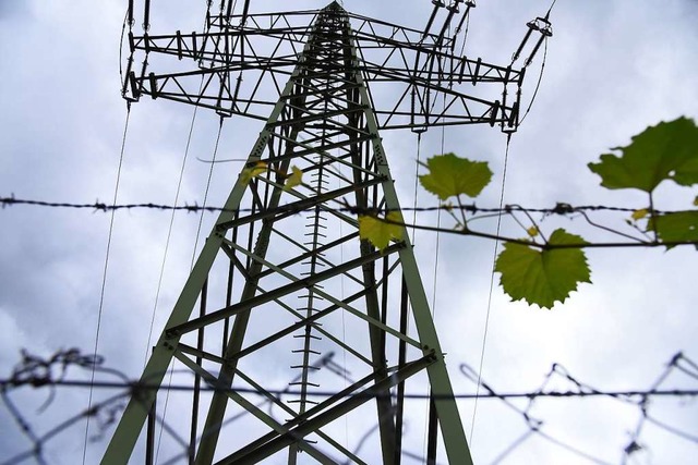 Energiedienst ist jetzt klimaneutral, meldet das Unternehmen.  | Foto: Jonas Hirt