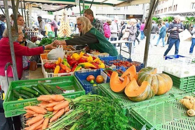 Landwirt: In Freiburg wird zu wenig regional eingekauft