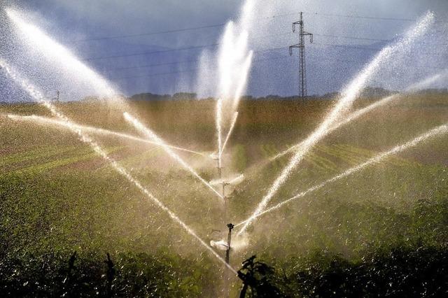 Mehr Wasser zur Feldberegnung?