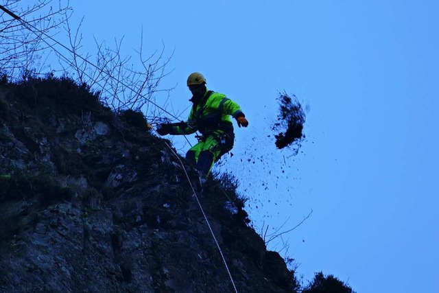 Der Mitarbeiter einer Fachfirma entfernt Gerll  | Foto: Sebastian Wolfrum