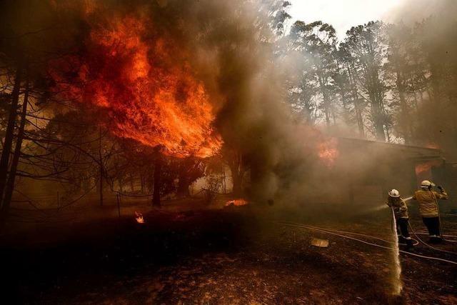Neue Brände in Australien - Löschflugzeug abgestürzt