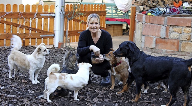 Claudia Dold-Cammerer bei der Hundeftterung  | Foto: privat