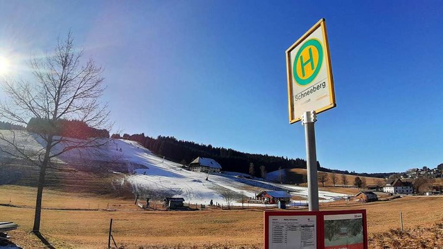 Winter-Insel inmitten graubrauner Wies...pinen Skirennfahrer des SC  Neustadt.   | Foto: Johannes  Bachmann