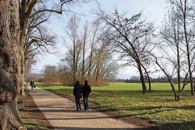 Schutz statt Spaltung