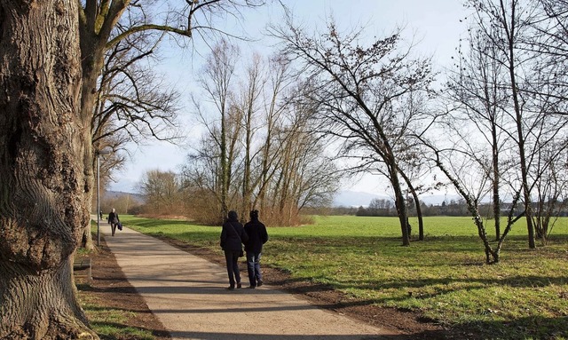 Der Technische Ausschuss hat diese Woc...  Erweiterung der Stadt zu streichen.   | Foto: Michael Haberer