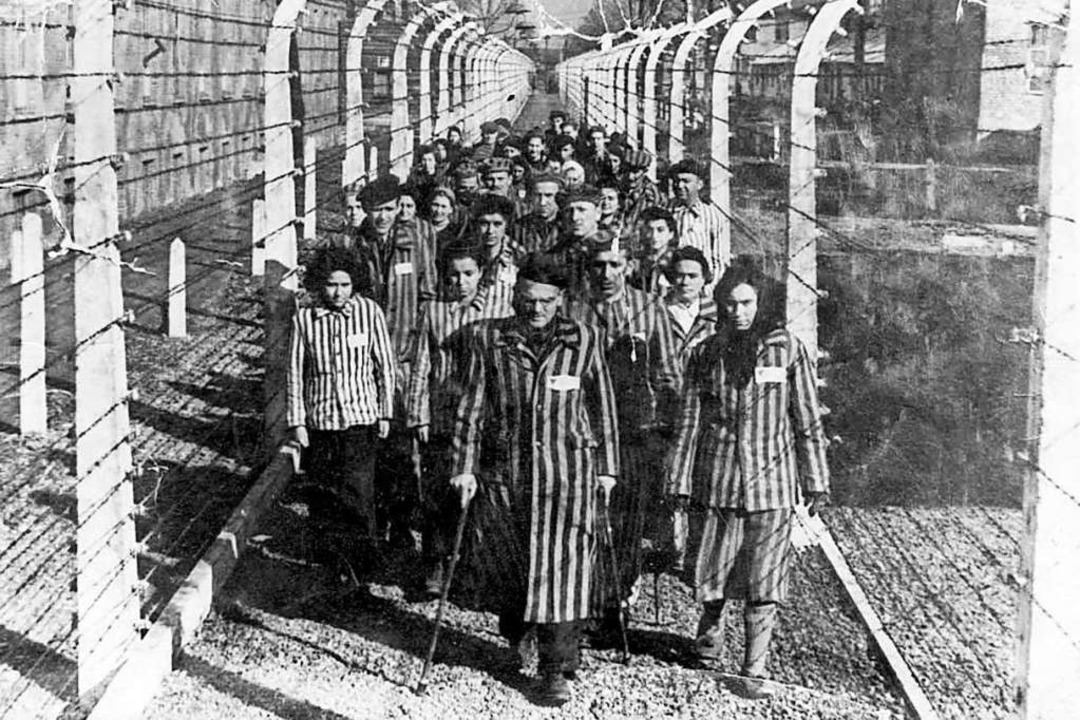 Das Konzentrationslager Auschwitz überlebten nur wenige Menschen.  | Foto: -