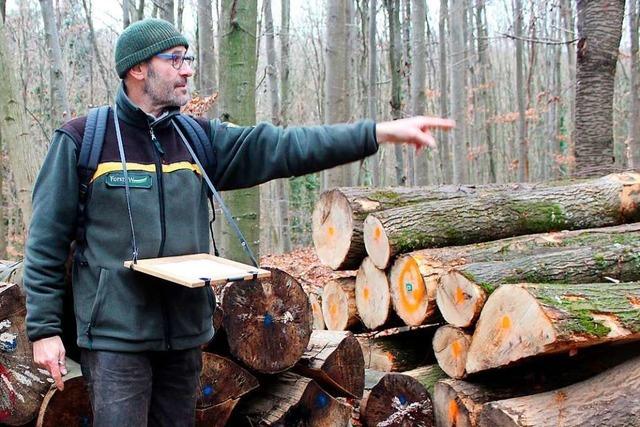 Holzversteigerungen sind bei privaten Nutzern im Landkreis Lörrach beliebt