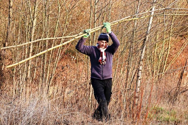 Gregor Philipp vom BUND transportiert junge Bumchen ab.  | Foto: Ursula Schiller