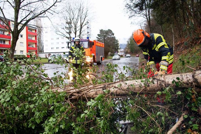 Nach den Sturmben am Dienstagmorgen l... Feuerwehr Mllheim beseitigen musste.  | Foto: Volker Mnch