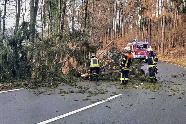 Die Freiwillige Feuerwehr Wehr musste ...llene Bume von Fahrbahnen entfernen.   | Foto: Feuerwehr Wehr