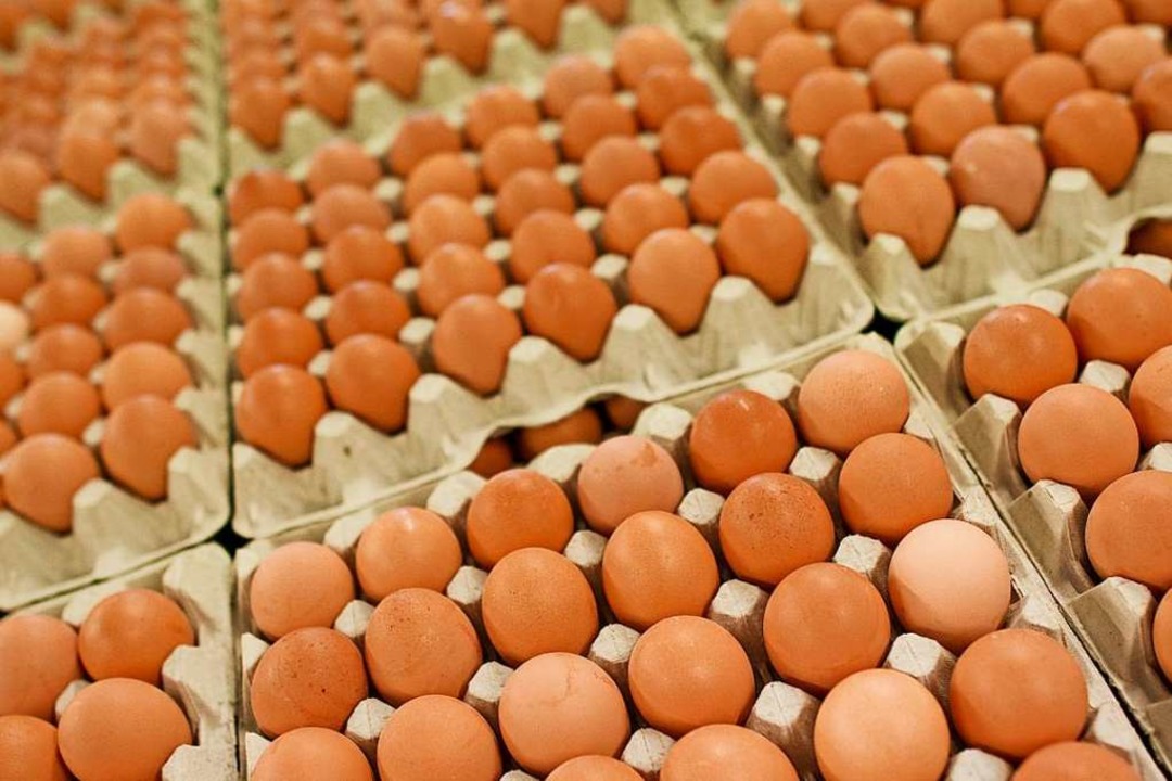 Jeden Tag ein Ei. &#8222;Das ist die d...22;Rettet das Huhn&#8220; (Archivbild)  | Foto: Julian Stratenschulte
