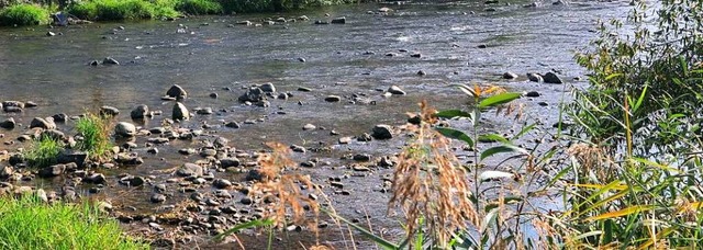 Die Elz zwischen der Kollnauer Brcke ...iche Strmungen. Das soll sich ndern.  | Foto: Nikolaus Bayer