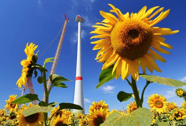 Der CO2-Aussto soll in Rheinfelden verringert werden.  | Foto: Patrick Pleul (dpa)