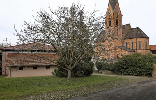 Sieben Autostellpltze werden hier sei...egt. Dafr muss der Laubbaum weichen.   | Foto: Christoph Breithaupt