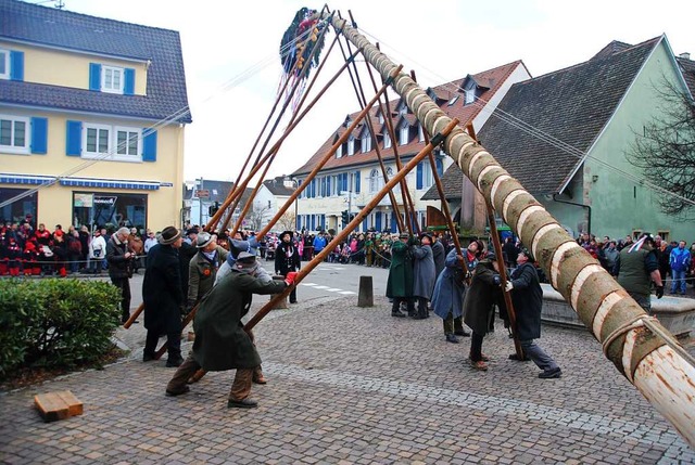 Das Stellen des Narrenbaumes ist reine Muskelarbeit.  | Foto: Norbert Sedlak