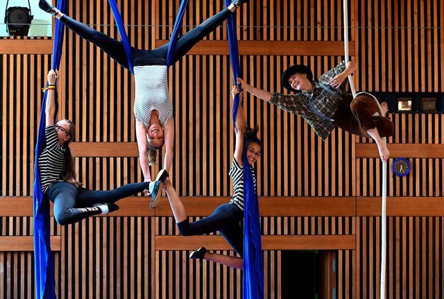 Akrobatik gibt es beim Circus Harlekin... Februar im Theater Freiburg zu sehen.  | Foto: Thomas Kunz