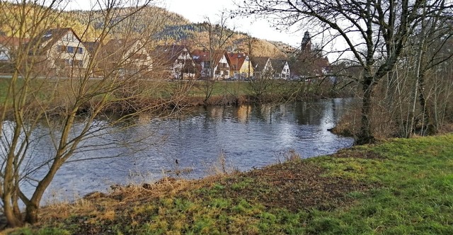 Zurzeit verluft die Elz bei Waldkirch-Kollnau schnurgerade.   | Foto: Sylvia Sredniawa