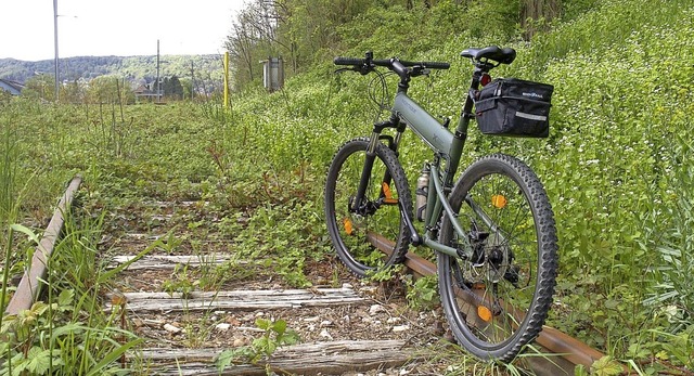 Irgendwann soll es hier Richtung Walds...noch die alten Lonza-Industriegleise.   | Foto:  Gerard, Roland