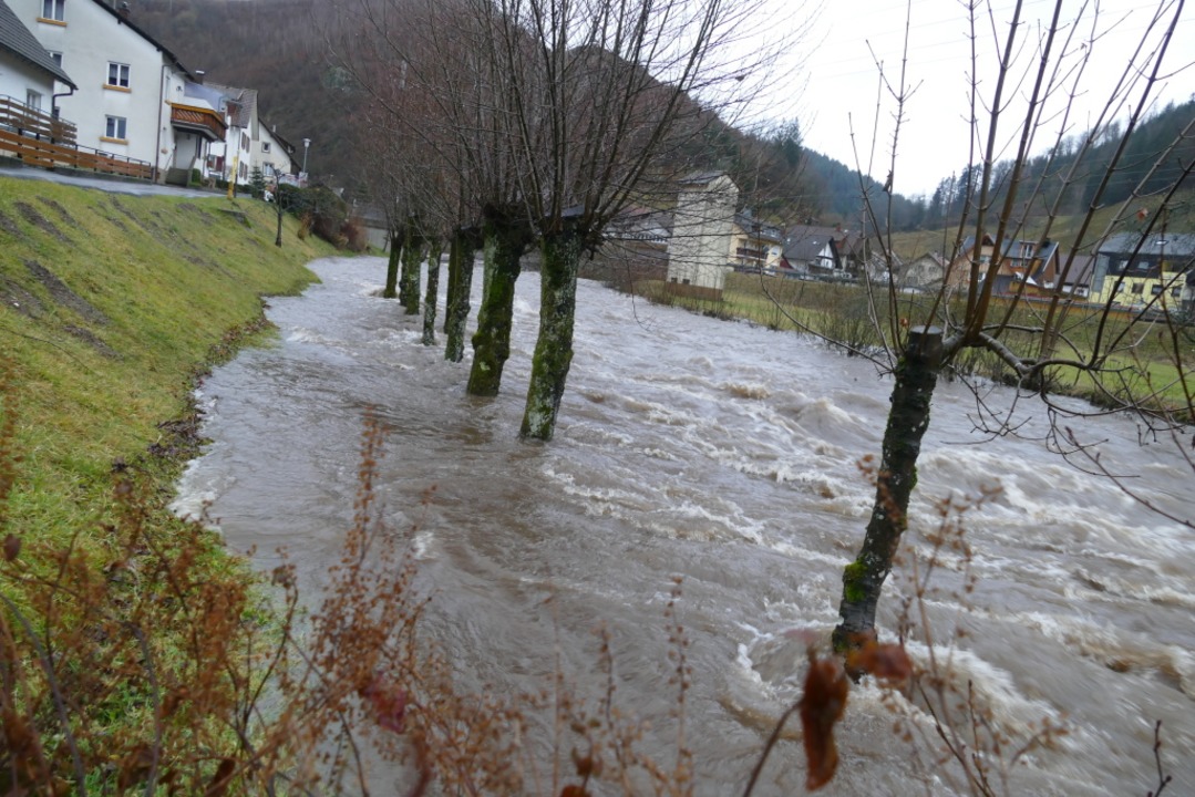 Die Wiese im Oberen Wiesental hat Hochwasser.  | Foto: Sattelberger