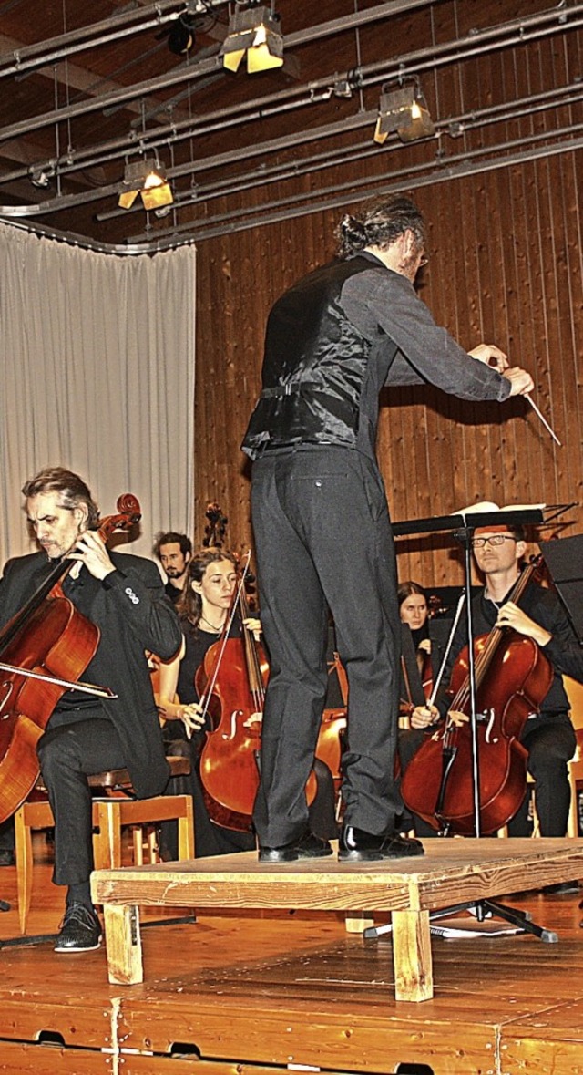 Dirigent Nikolaus Reinke in Aktion.  | Foto: Hildegard Karig