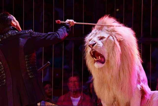 Ein Verbot von Wildtieren aus tierschu... Zirkus Charles Knie 2015 in Freiburg.  | Foto: Rita Eggstein