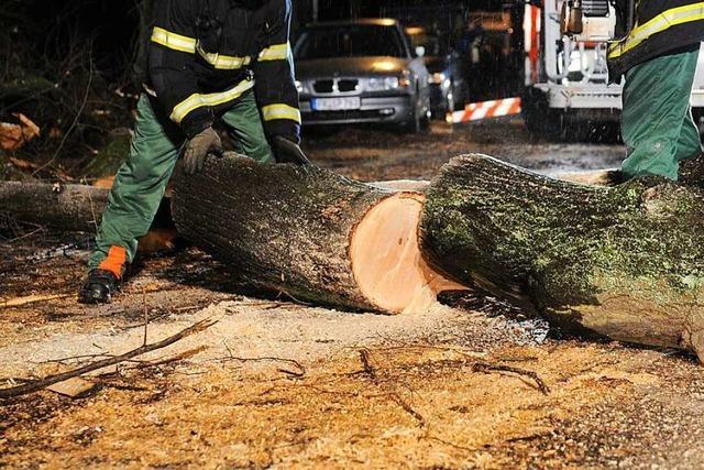 Sturm sorgt in Bad Säckingen für umgestürzte Bäume und einen Verkehrsunfall