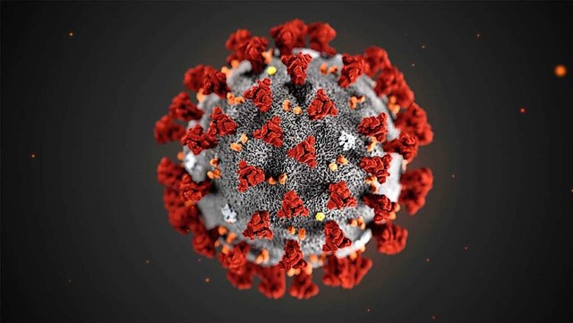 Illustration des Coronavirus.  | Foto: Uncredited (dpa)