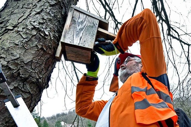 Haben hier im vergangenen Jahr Meisen ...&#8211;  jetzt sind alle bezugsbereit.  | Foto: Michael Bamberger