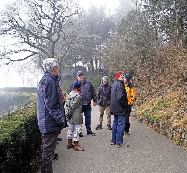 Beim Rundgang durch Kur- und Schlosspa...aturschutz stehende Hirschzungenfarn.   | Foto: Silke Hartenstein