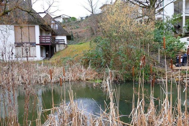 Am Biotop Krottenweiher in Lrrach herrscht weiter dicke Luft