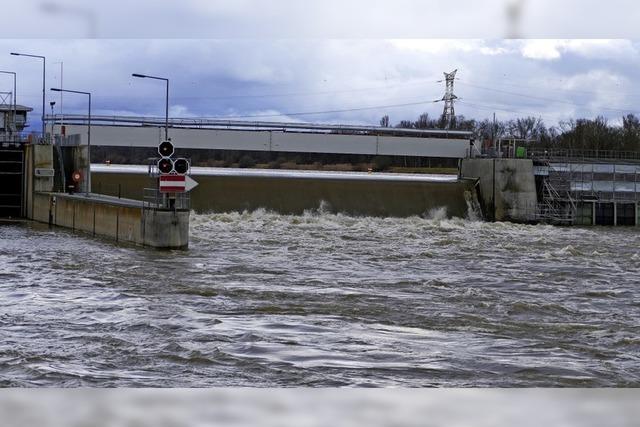 Kein Hochwasser am Rhein bei Breisach