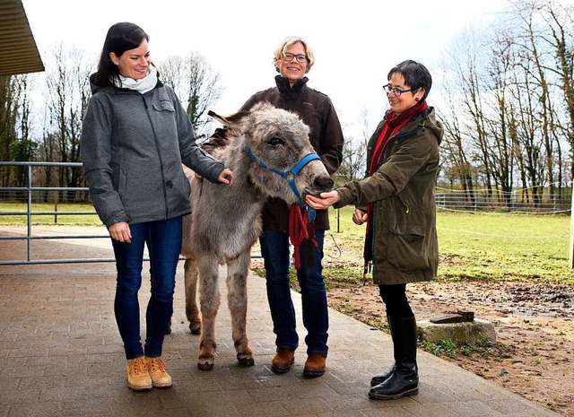 Birte Boxler, Nicole Schmalfu und Sus...sdame Rosi im Gehege auf dem Mundenhof  | Foto: Thomas Kunz