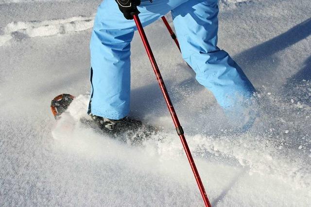 Schneeschuhtour auf den Kandel fr Kurzentschlossene