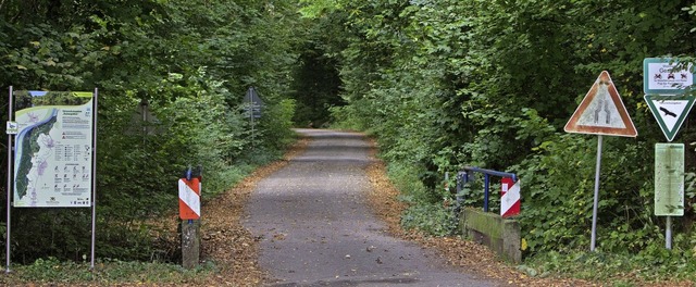 Wie zugnglich bleibt der Rheinwald whrend der Flutungen?   | Foto: Patrik Mller