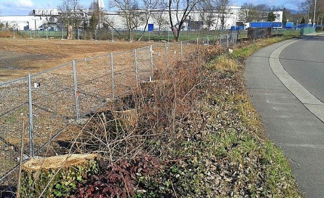 Kahlschlge im Westen und im Osten der...nen-Stadtrat Stefan Bhm kritisiert.    | Foto: privat