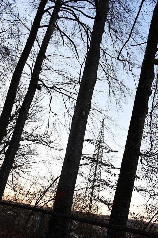 Oberhalb von Hllstein sollen 13 alte ...erlaufende Starkstromleitung bedrohen.  | Foto: Robert Bergmann