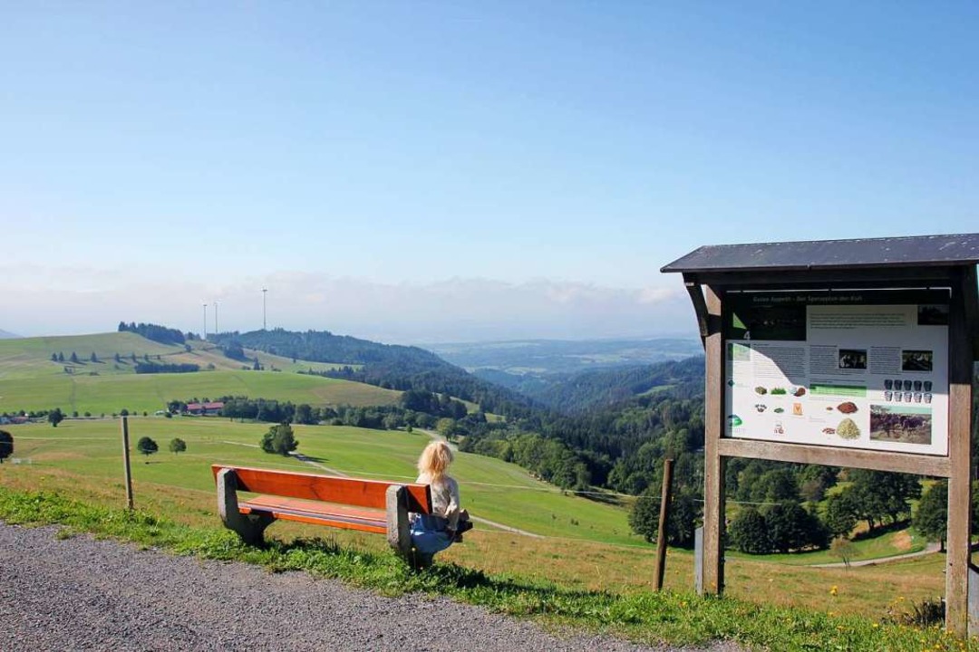 Gersbach bietet viele himmlische Aussi...11; unter anderem vom Panoramaweg aus.  | Foto: Yvonne Rünzi