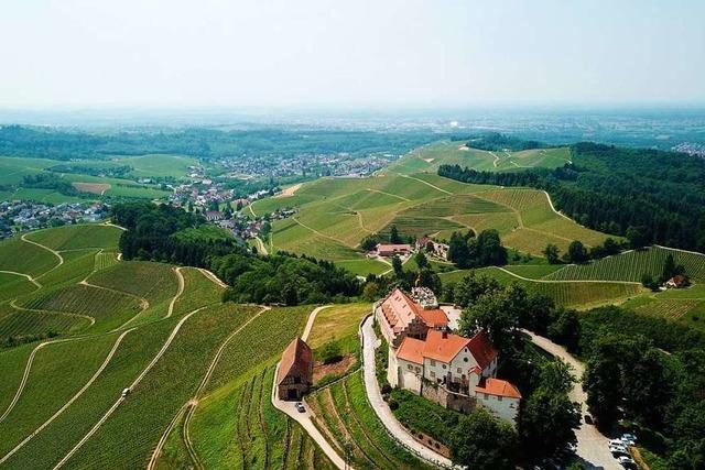 Fr den Weinpfad gibt es einen neuen Wanderfhrer