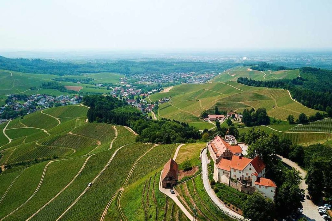Der Ortenauer Weinpfad führt auch an  ... Staufenberg hoch über Durbach vorbei.  | Foto: Michael Saurer