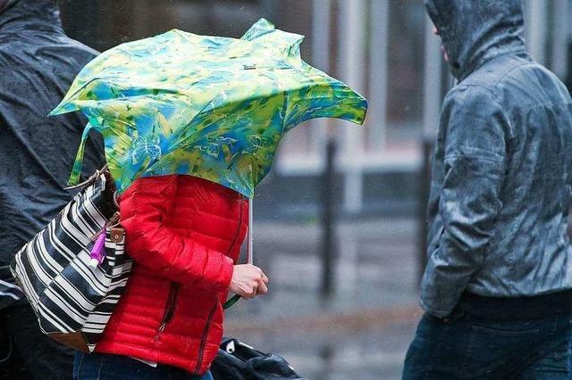 Hchste Unwetterwarnstufe fr Teile des Schwarzwaldes