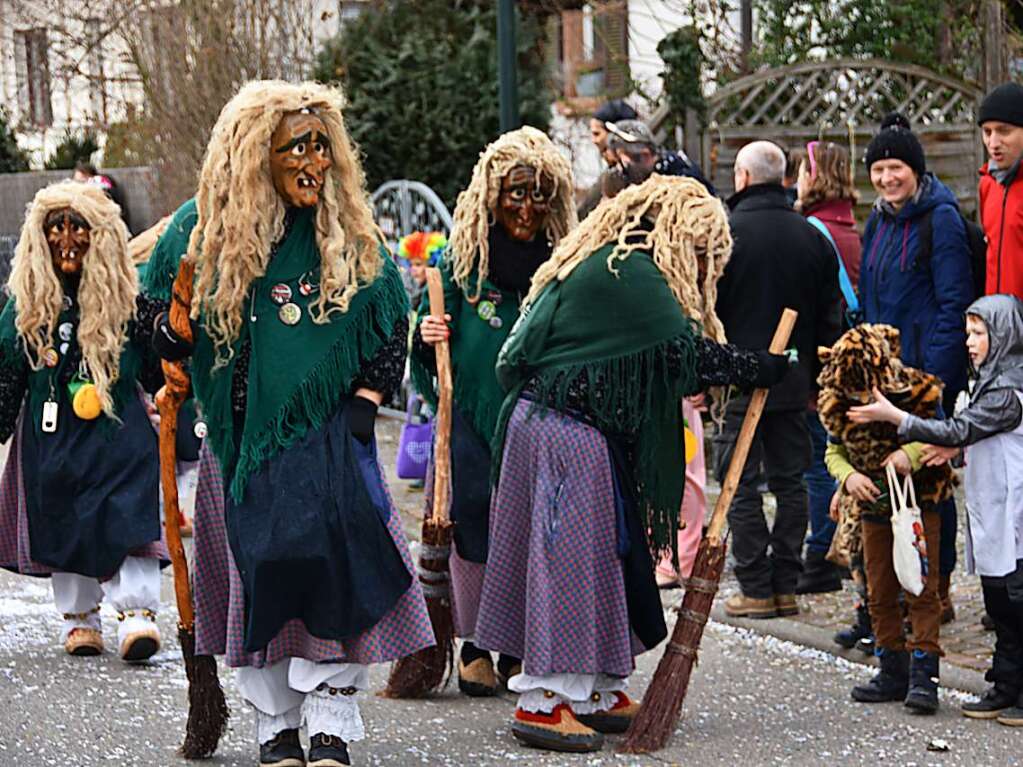 Fasnetsumzug in Gundelfingen