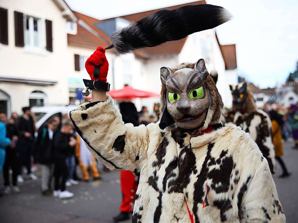 Umzug in Freiburg St.Georgen 2020