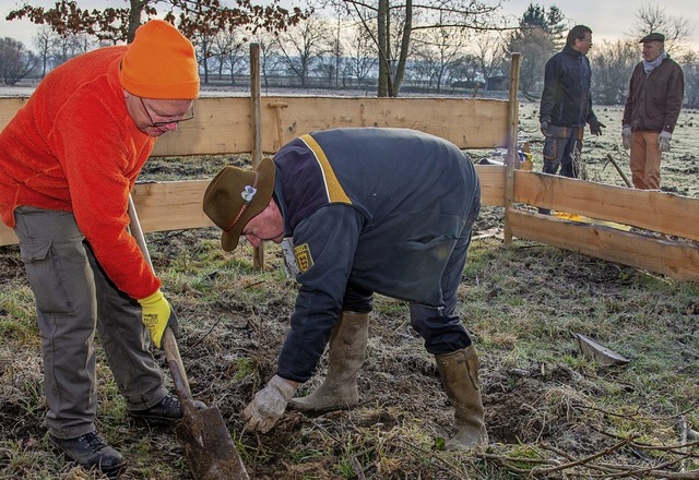 Gemeinsam werden die Bume gepflanzt.  | Foto: Olaf Michel