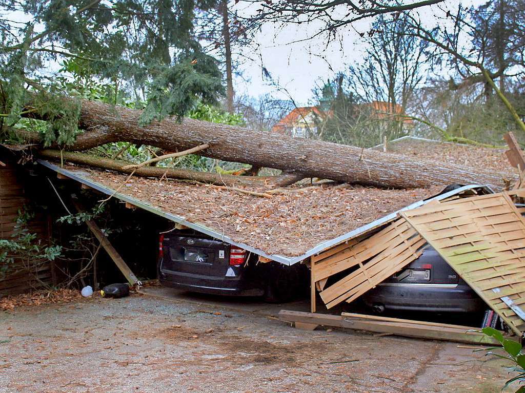 In Viersen (NRW) liegt ein umgestrzter Baum auf Unterstellpltzen fr Autos.